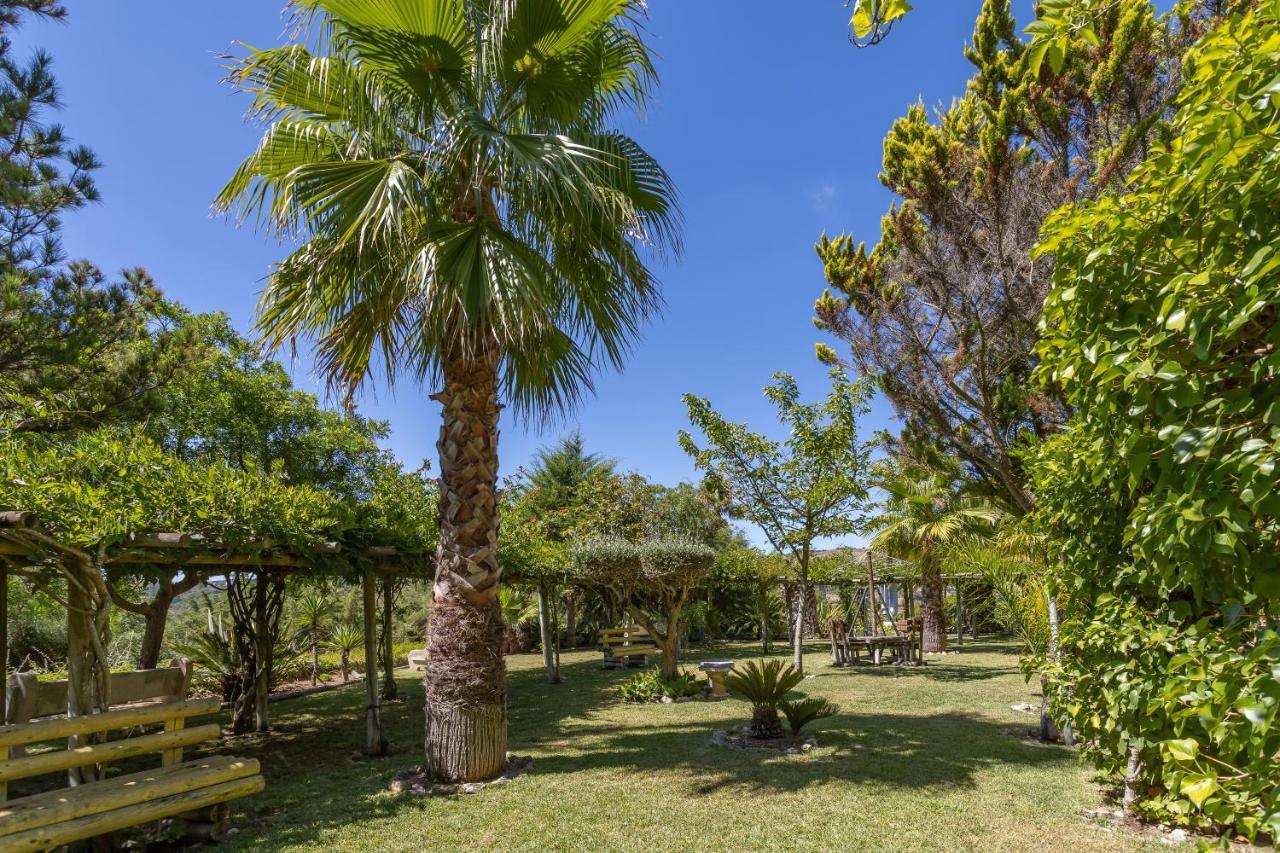Quinta Do Monte Das Abelhas - La Venus De Lisbonne Calhandriz Exteriér fotografie